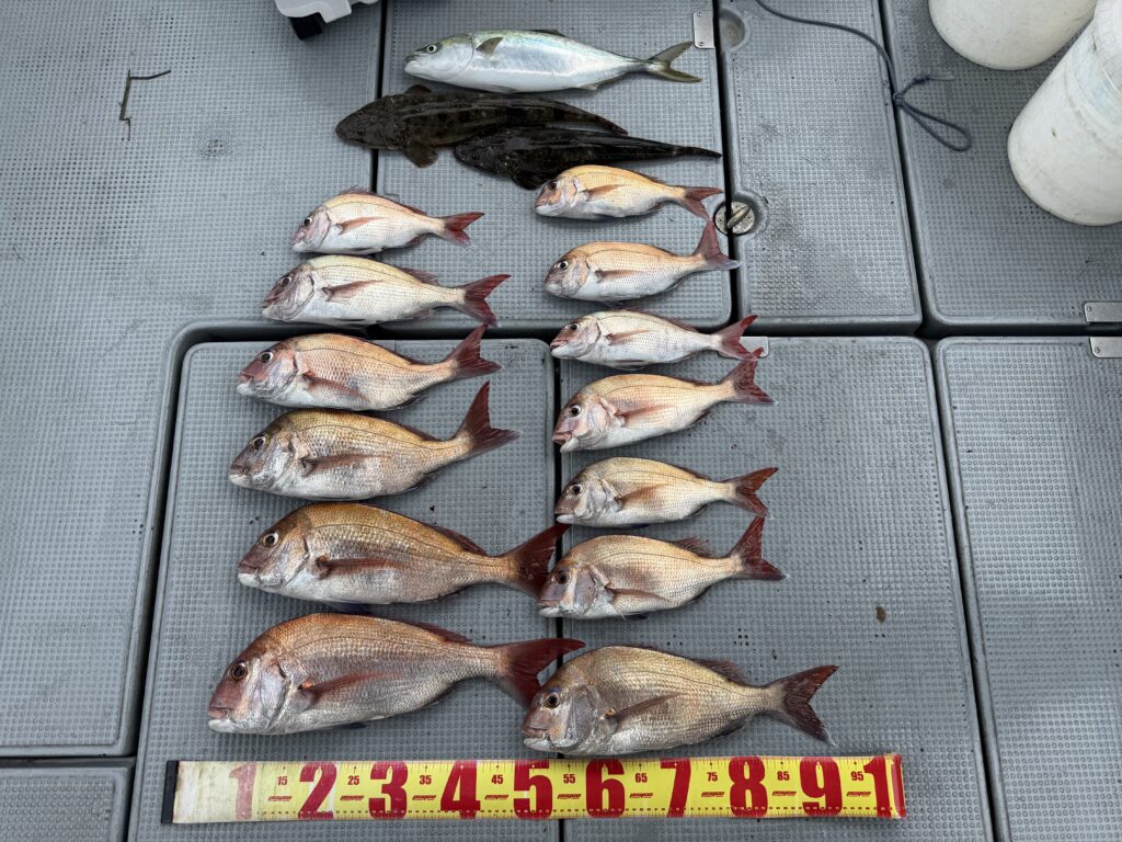 タイラバ