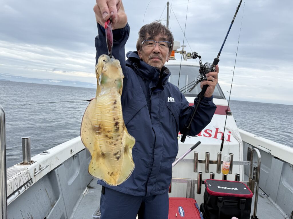 アオリ