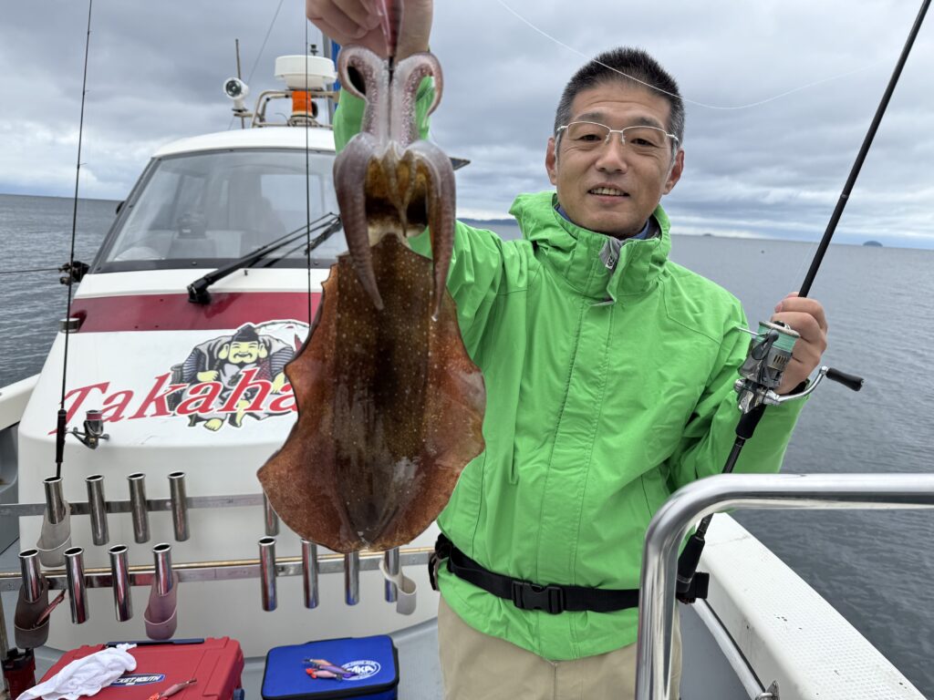 アオリ