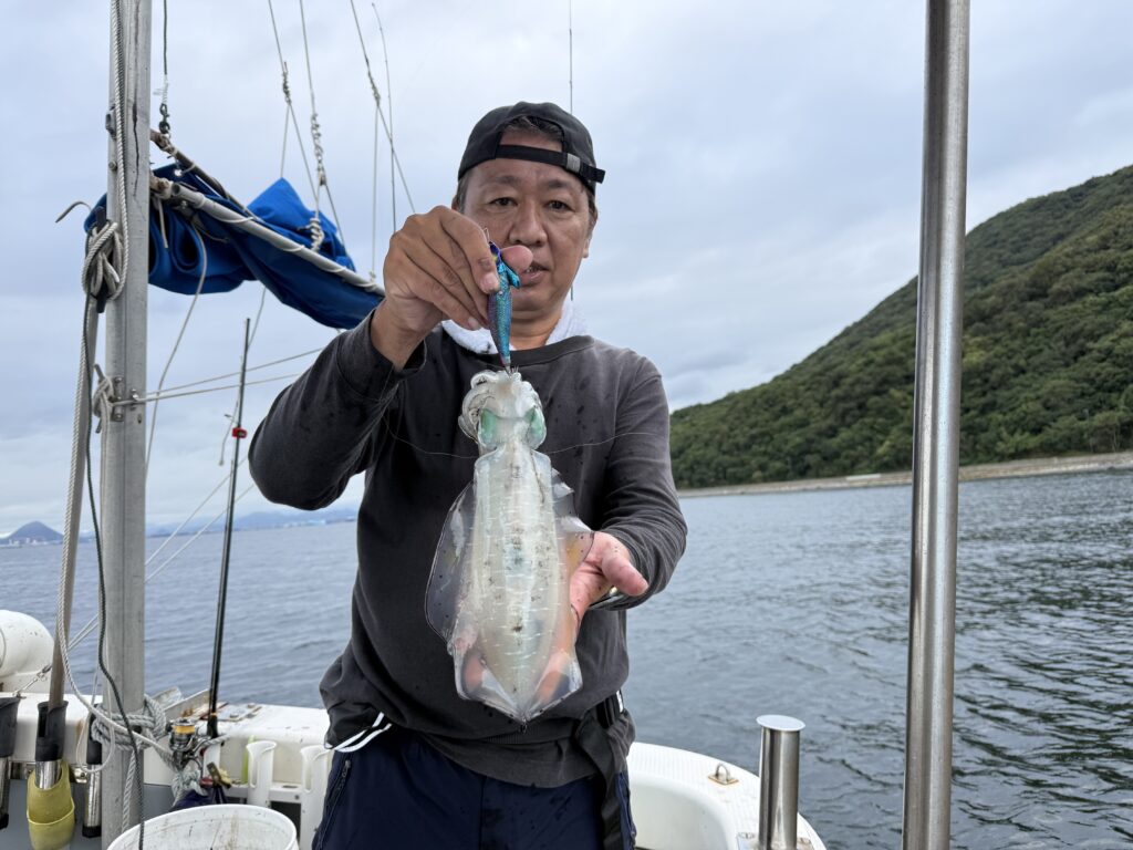 アオリ