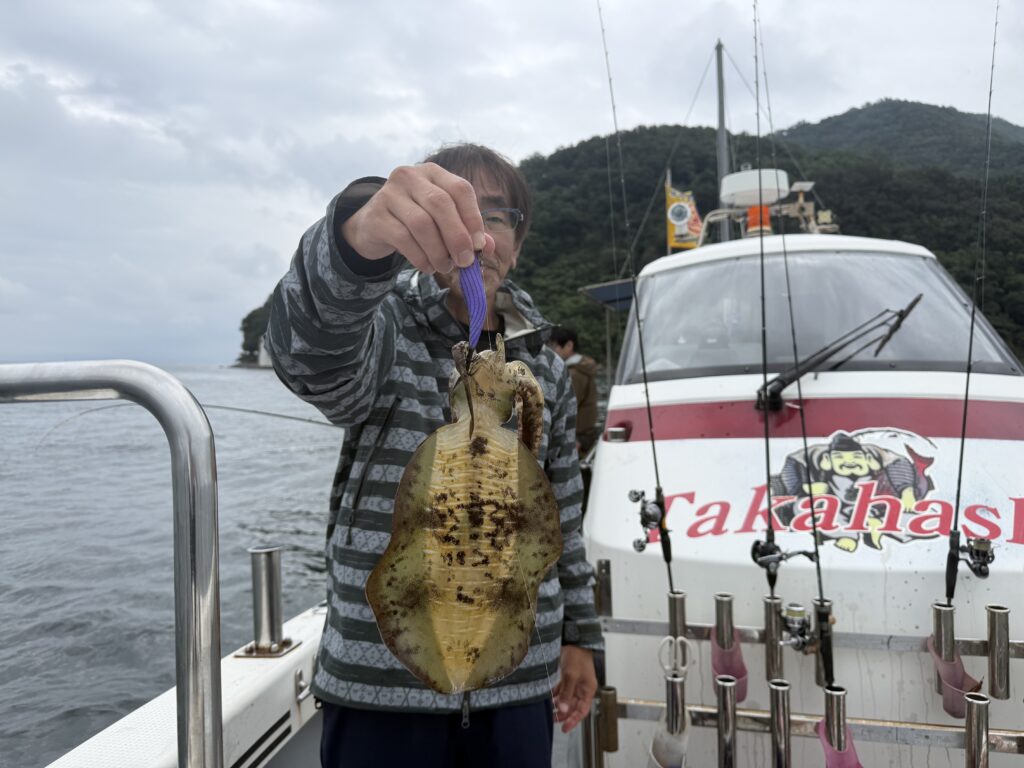 アオリ